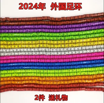 2024 8 мм кольца для голубей кольцо для птичьей лапки красочное GB AU HKPA DV BELG NL Тайвань PHA РОССИЯ ФРАНЦИЯ